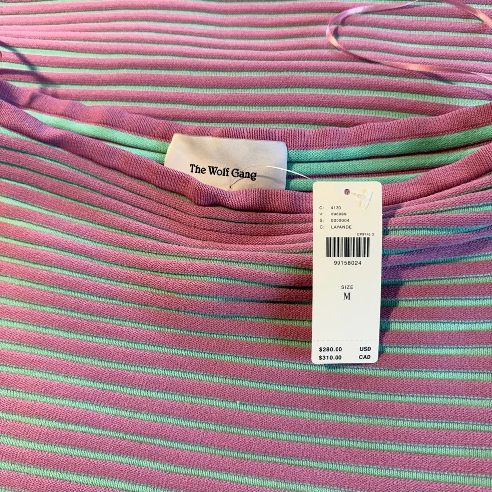 NWT The Wolf Gang Anthropologie Sunmor Tube Dress Stripe Medium - Picture 8 of 11